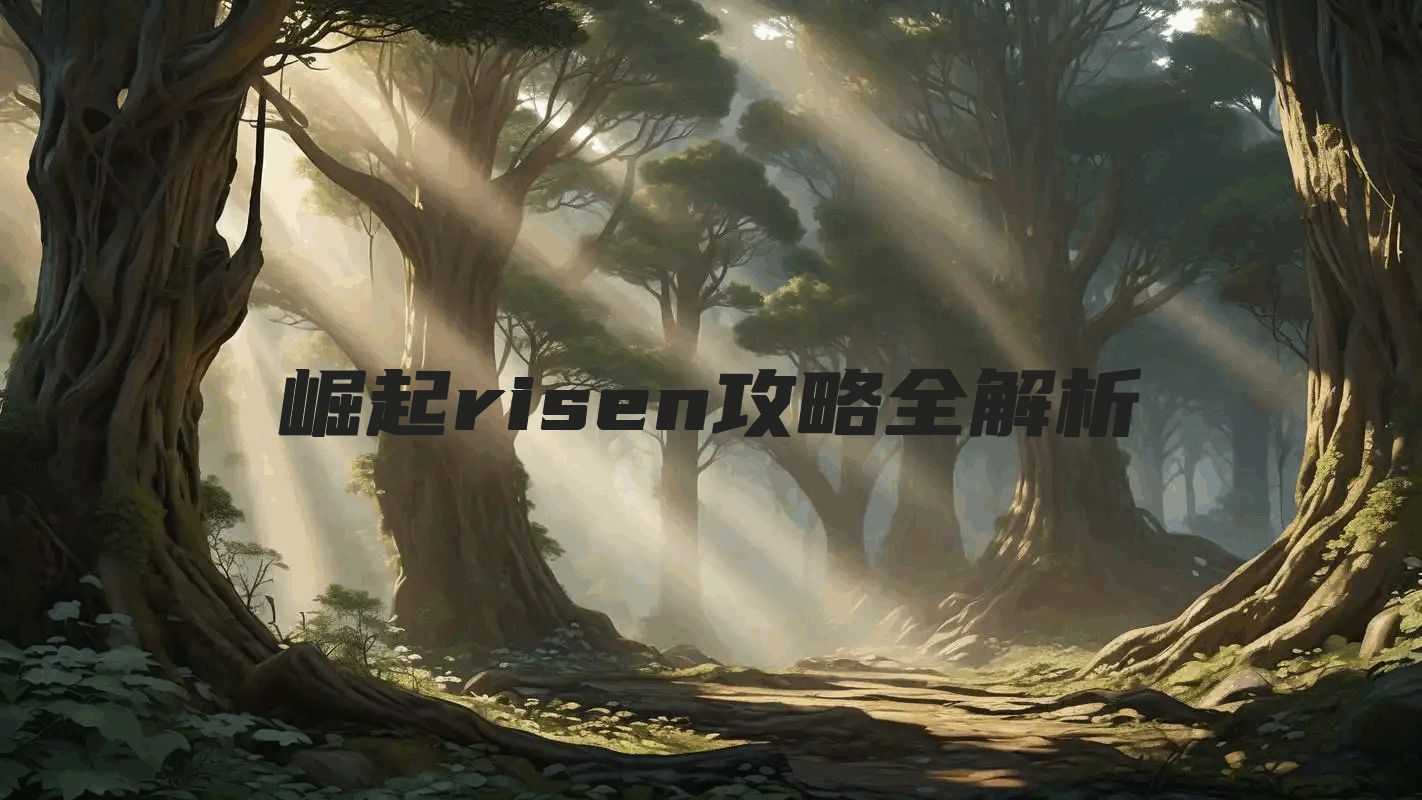 崛起risen攻略全解析