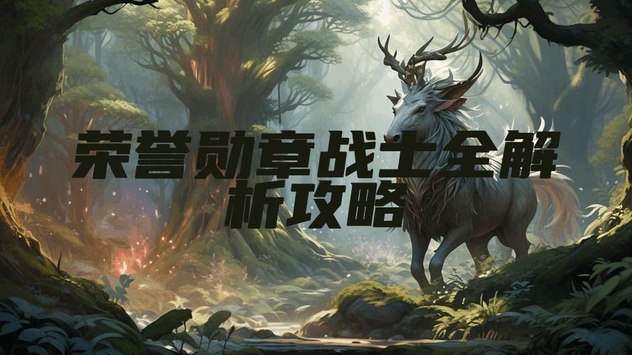 荣誉勋章战士全解析攻略