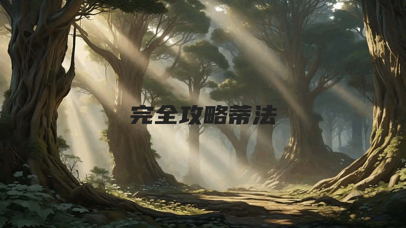 完全攻略蒂法
