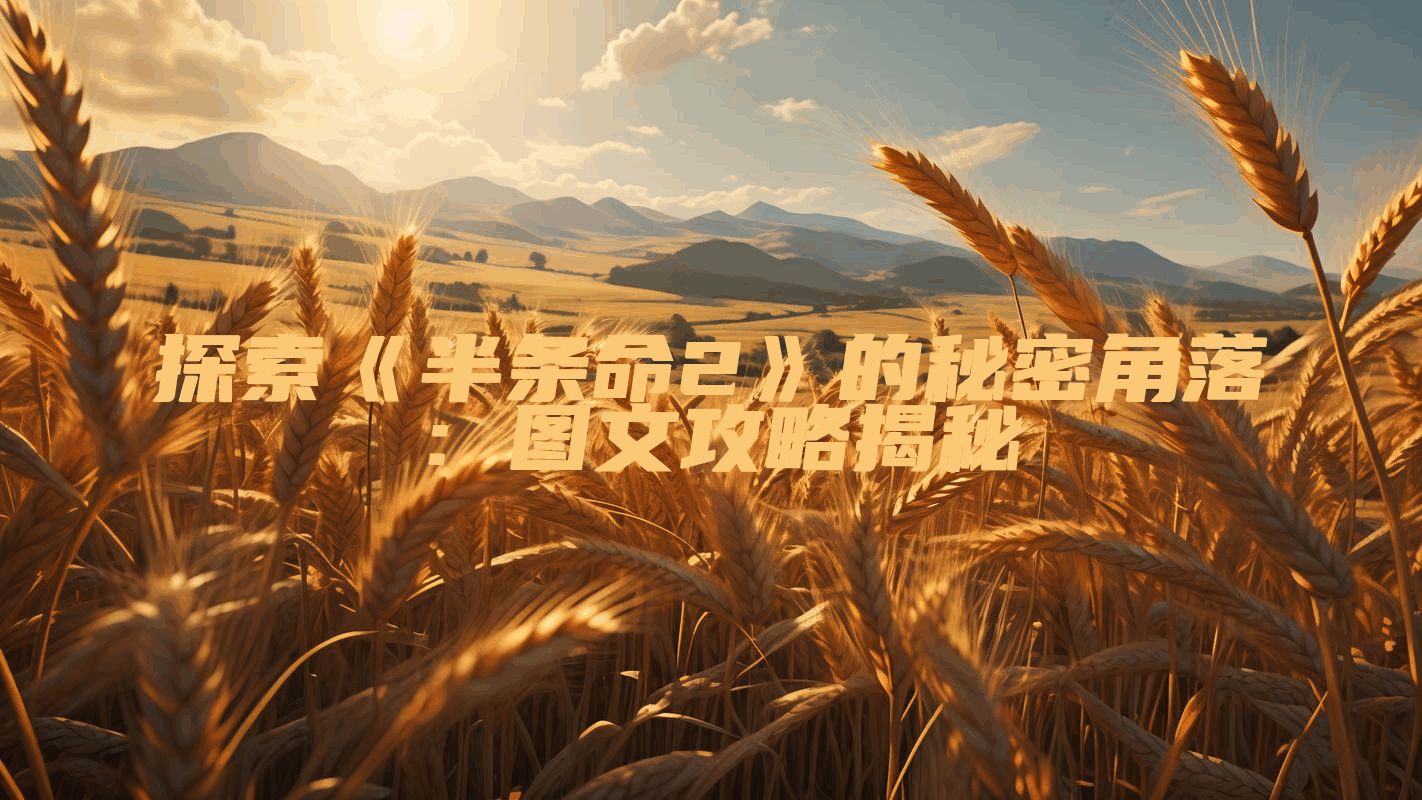 探索《半条命2》的秘密角落：图文攻略揭秘