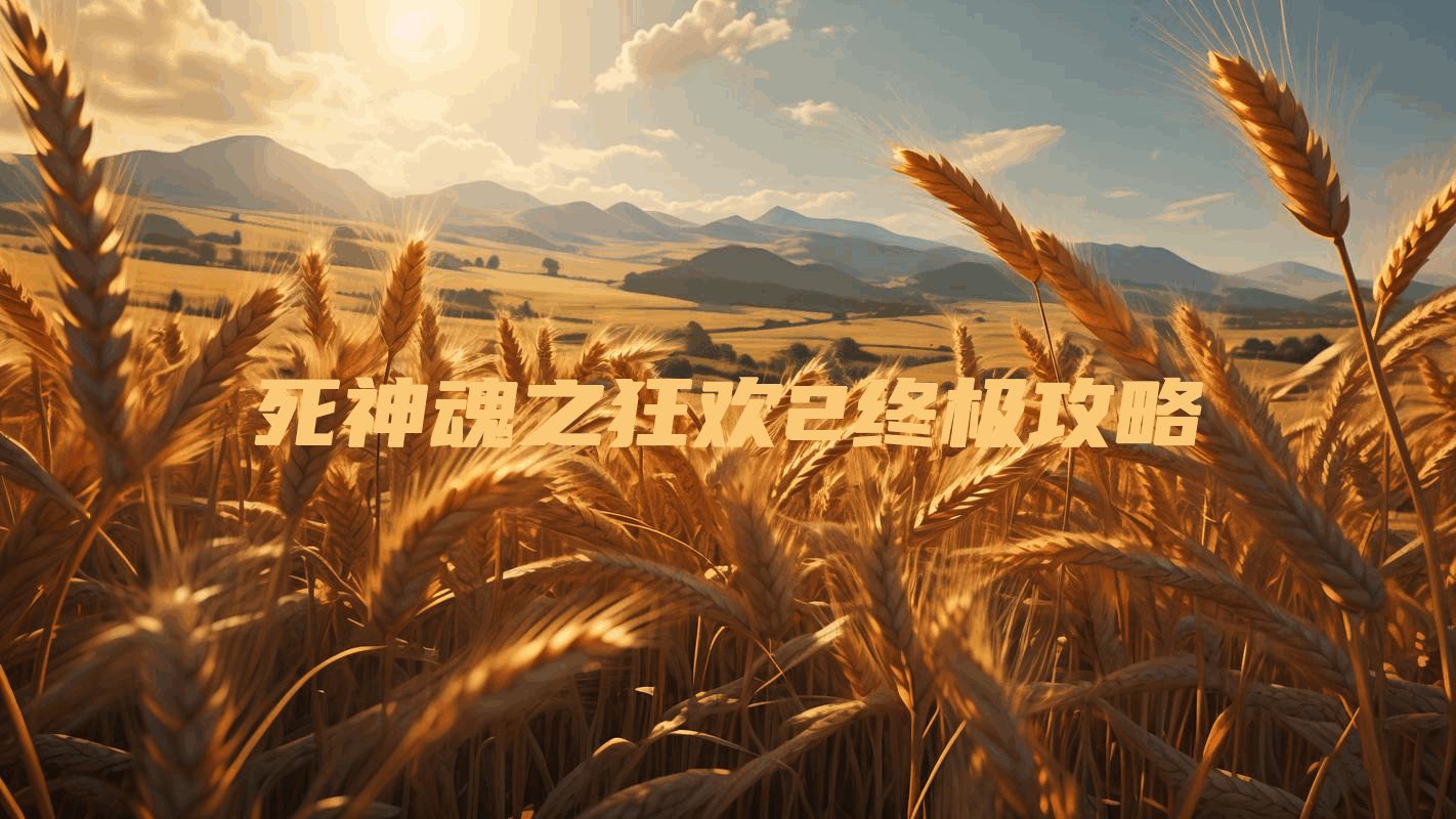 死神魂之狂欢2终极攻略