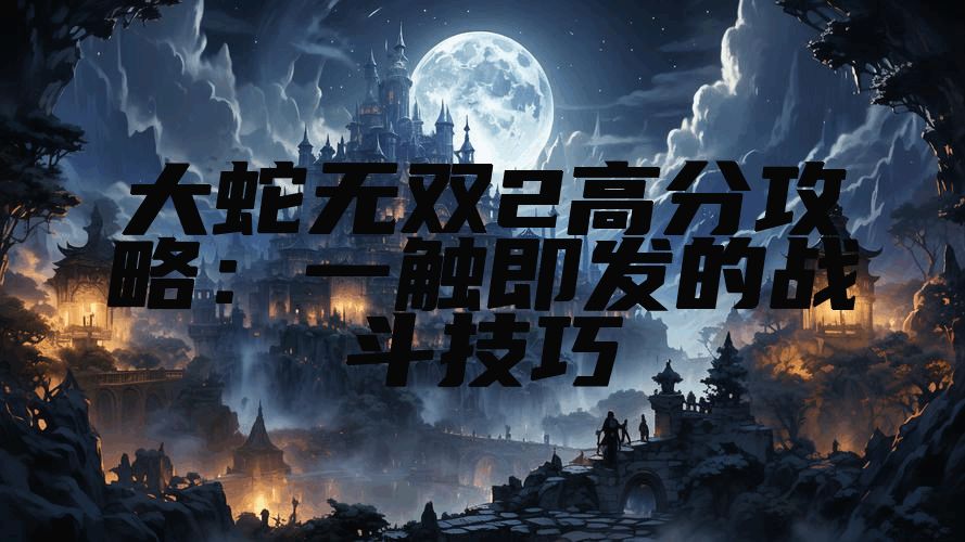 大蛇无双2高分攻略：一触即发的战斗技巧