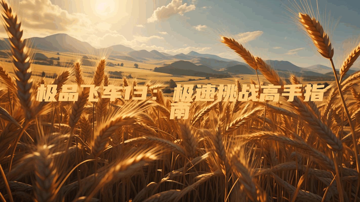 极品飞车13：极速挑战高手指南