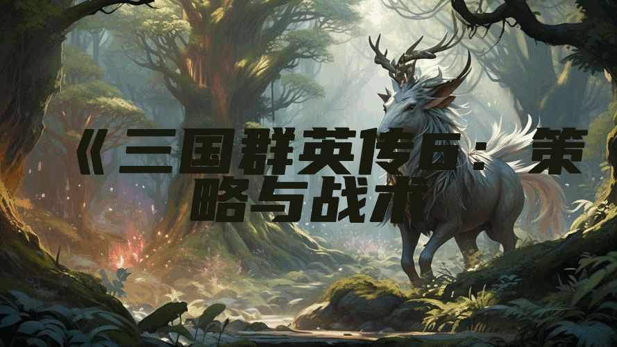 《三国群英传6：策略与战术